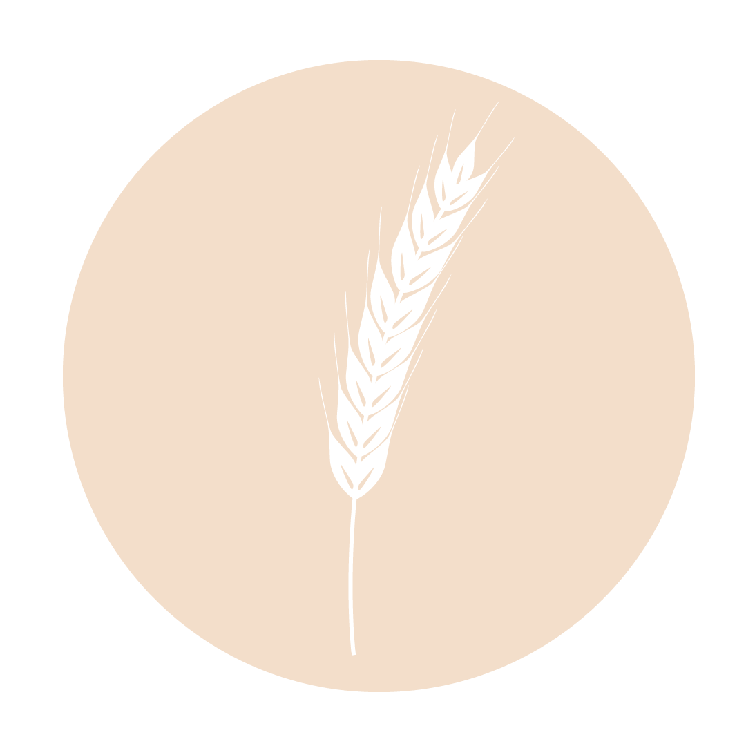 Shipping Icon